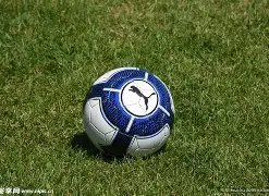 任豪与夏之,光受罚,活动暂停期,乐竞体育官网,乐竞体育平台,乐竞体育链接,乐竞体育官方