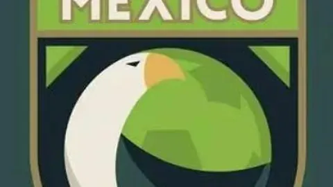 独家披露：日本U15足球新星惊艳欧洲，击败比利时荷兰，潜力无限！